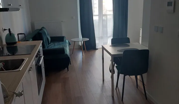 Mieszkanie 1-pokojowe Poznań Piątkowo, ul. Zygmunta Wojciechowskiego