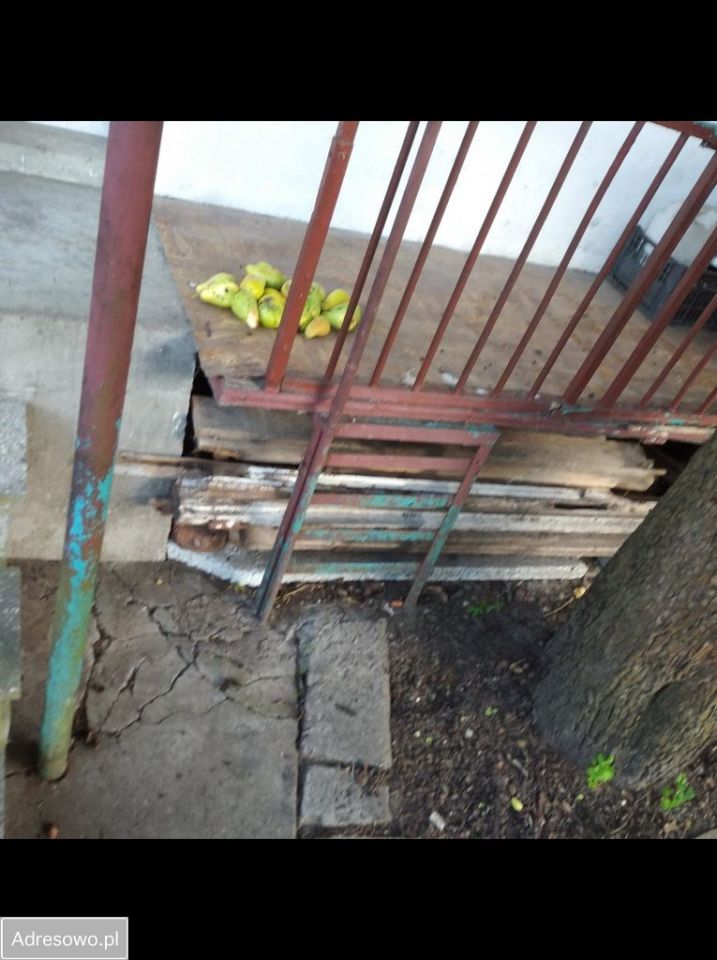 Działka rod Wrocław Muchobór Mały, ul. Góralska. Zdjęcie 19