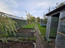 Działka rod Gdańsk, ul. Jelitkowska. Zdjęcie 2