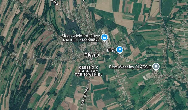 Lokal Olesno, ul. Długa
