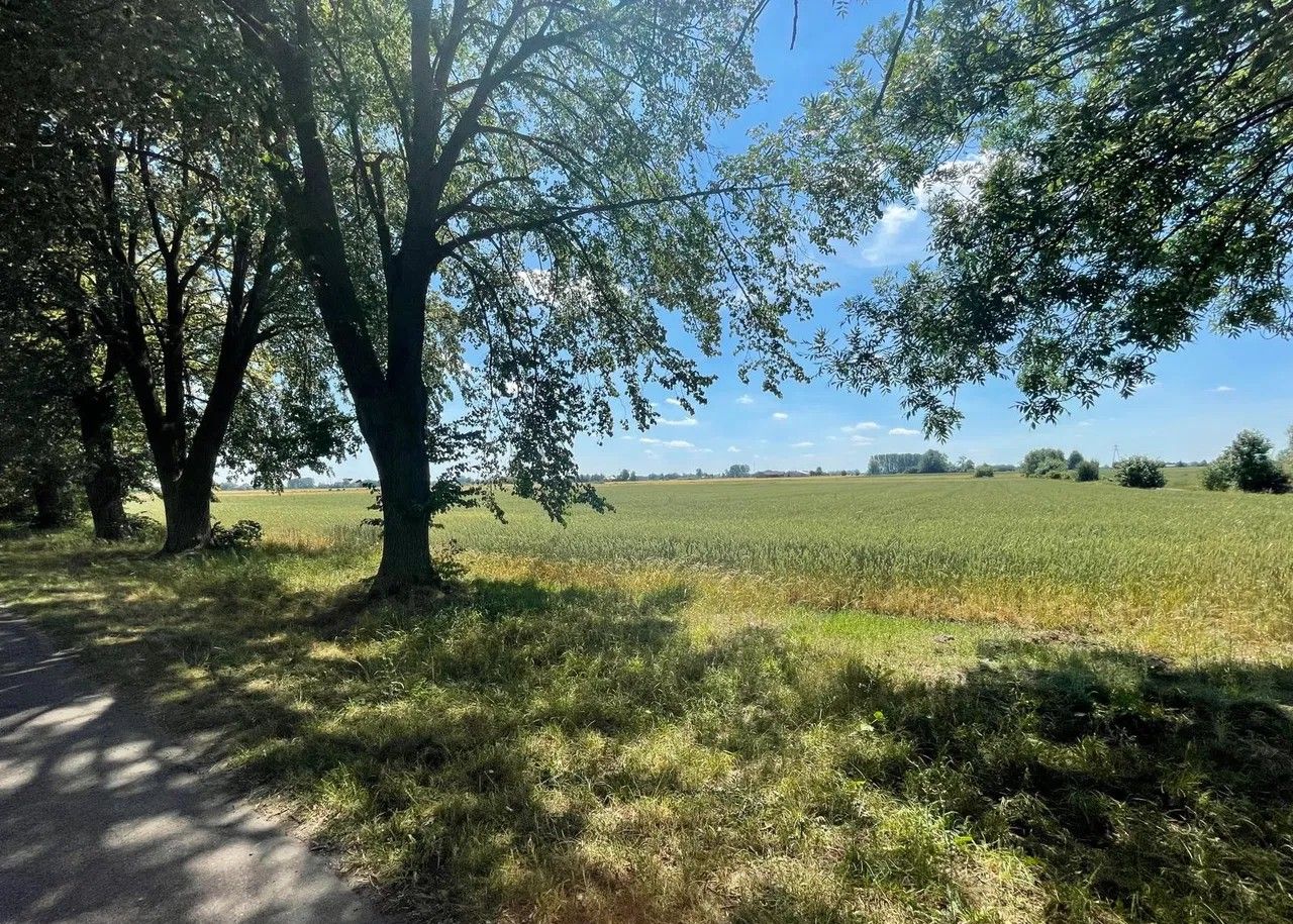 gospodarstwo, 4 pokoje Tydówka. Zdjęcie 6