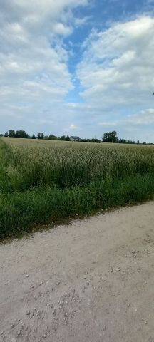 Działka rolna Kurów. Zdjęcie 1