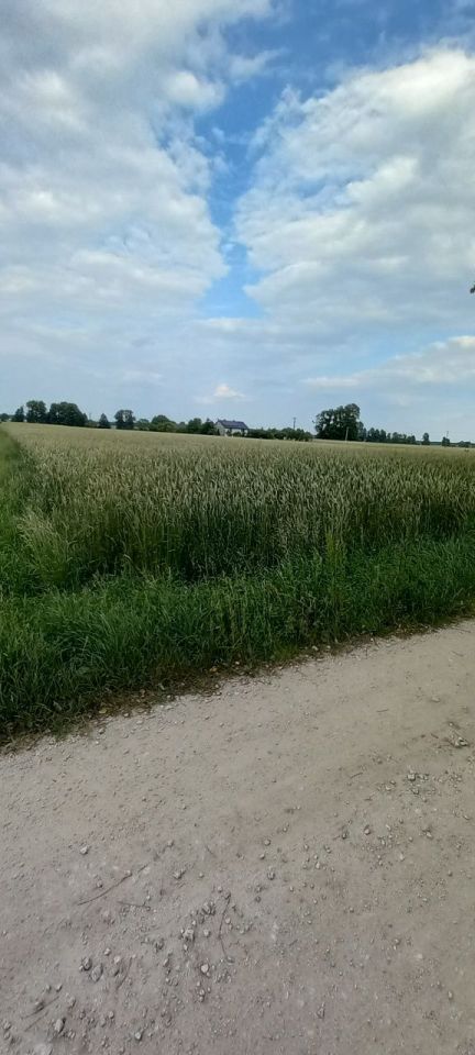 Działka rolna Kurów