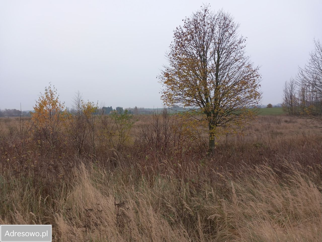 Działka inwestycyjna Spytkowo. Zdjęcie 2