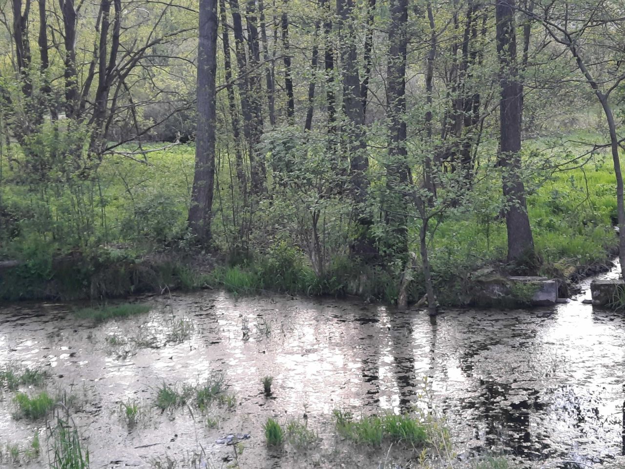 Działka budowlana Hucisko. Zdjęcie 6