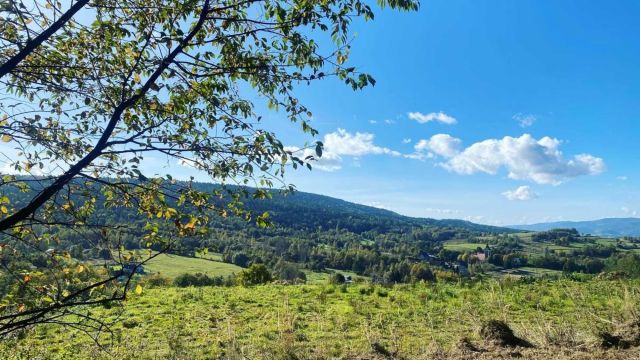 Działka budowlana Zakrzów. Zdjęcie 1