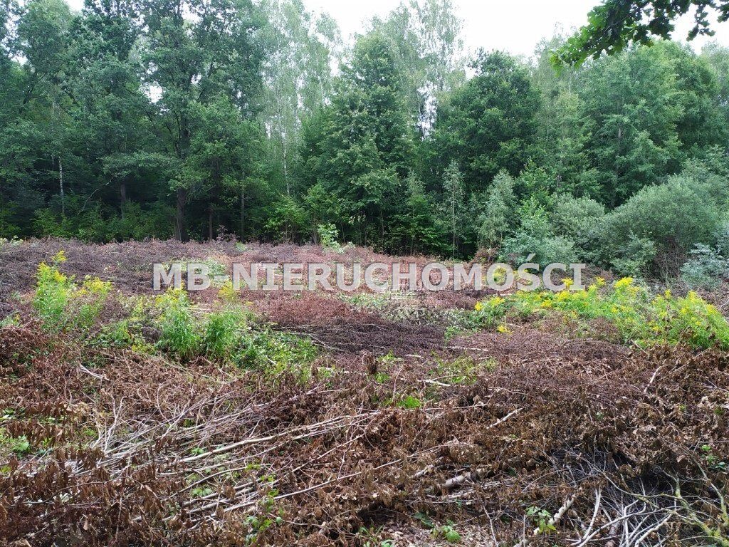 Działka siedliskowa Mątki. Zdjęcie 4