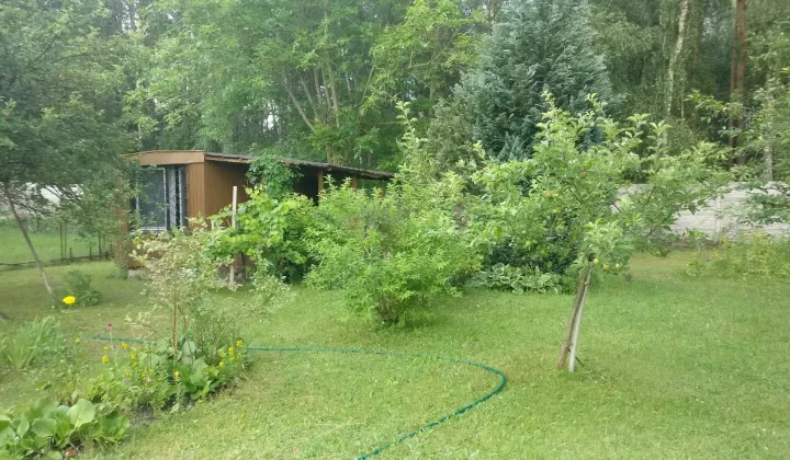 Działka rod Zielona Góra Jędrzychów