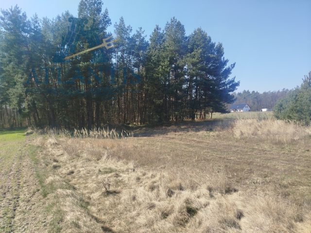 Działka Mięcierzyn. Zdjęcie 3