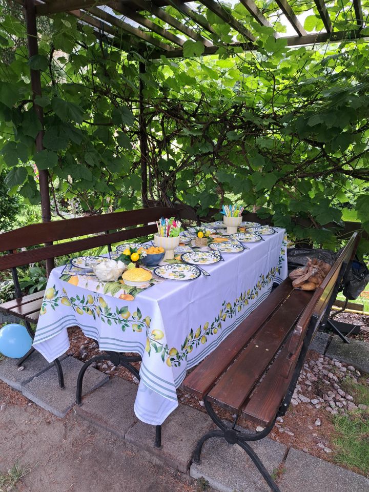 Działka rod Warszawa Bemowo, Dzialka ROD Bemowo II. Zdjęcie 6