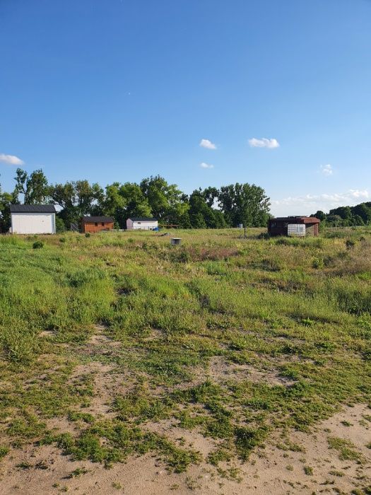 Działka rekreacyjna Lusowo. Zdjęcie 6