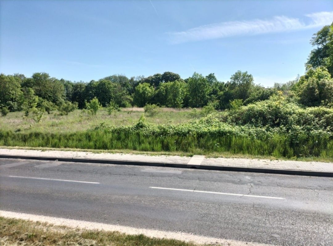 Działka budowlana Łysiny. Zdjęcie 2