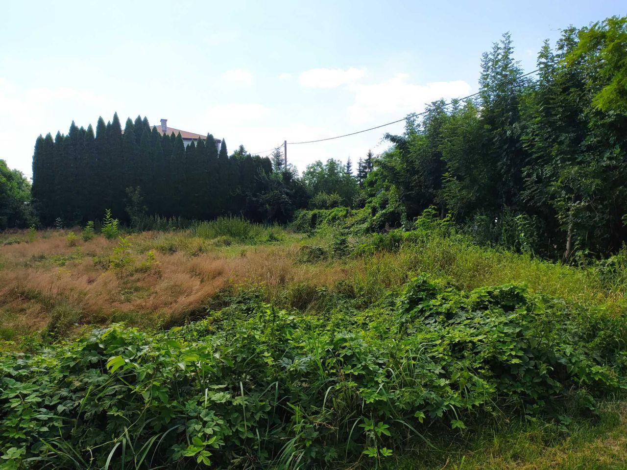 Działka budowlana Terespol. Zdjęcie 5