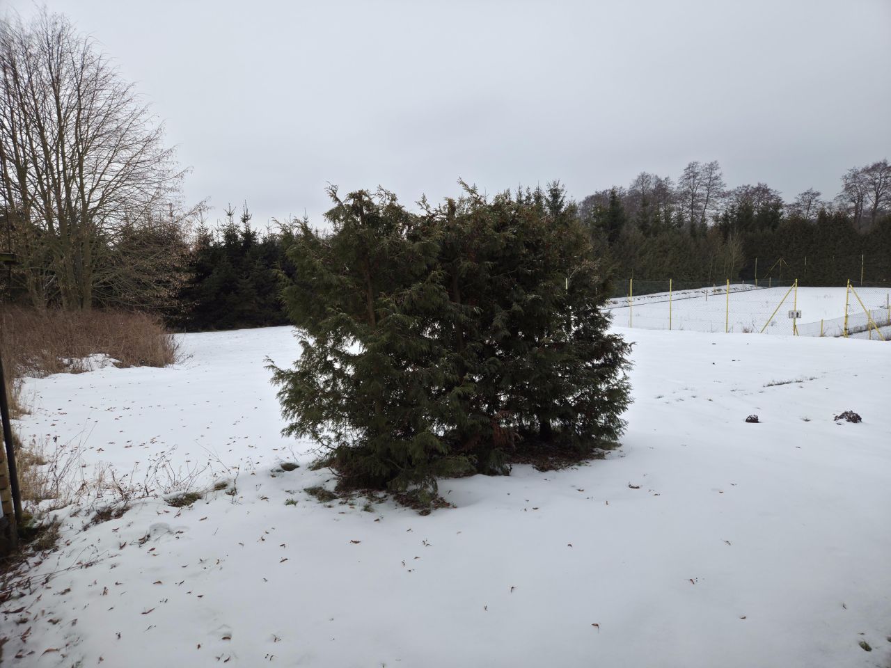 dom wolnostojący, 7 pokoi Strączno. Zdjęcie 96