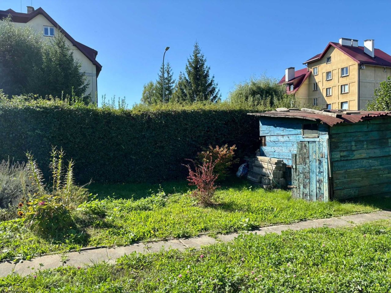 Działka rod Ostrów Wielkopolski. Zdjęcie 7