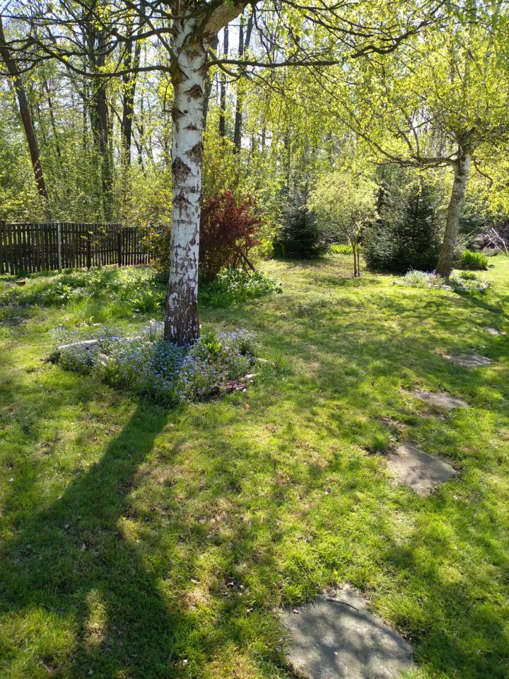 dom wolnostojący, 3 pokoje Nowa Wieś Głubczycka. Zdjęcie 8