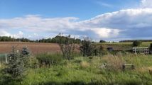 Działka rolno-budowlana Paruszka. Zdjęcie 4