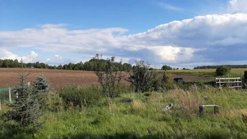 Działka rolno-budowlana Paruszka. Zdjęcie 5