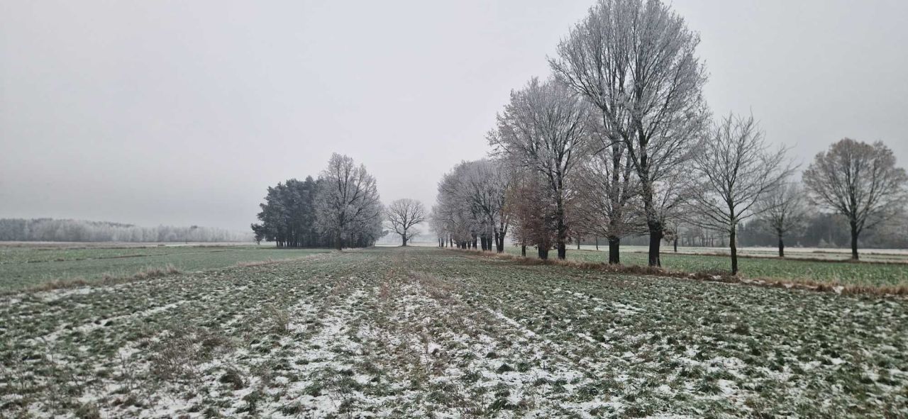 Działka budowlana Psucin. Zdjęcie 2