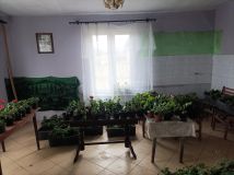 dom wolnostojący Zaborowie. Zdjęcie 2