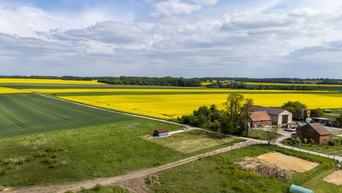 Działka inwestycyjna Poniatowice. Zdjęcie 13
