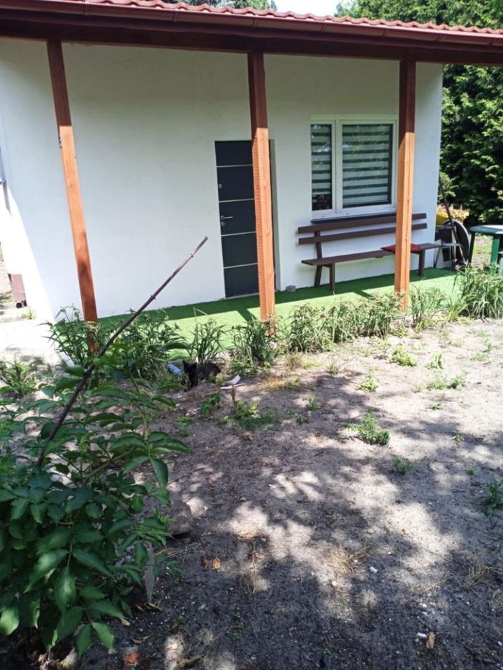 Działka rod Bydgoszcz. Zdjęcie 6