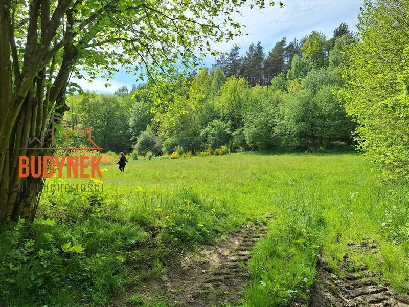 Działka rolna Paproty. Zdjęcie 6