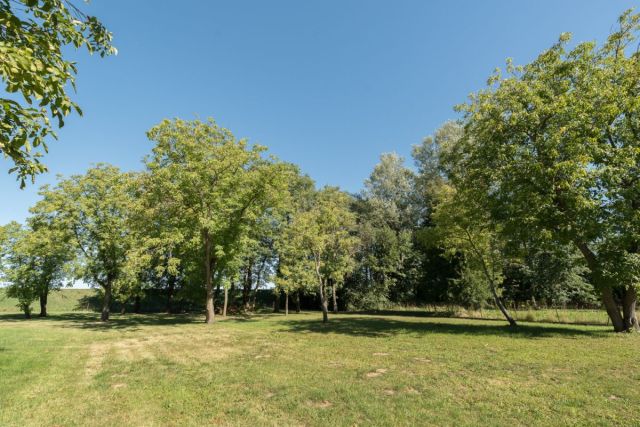 Działka budowlana Opacz. Zdjęcie 17