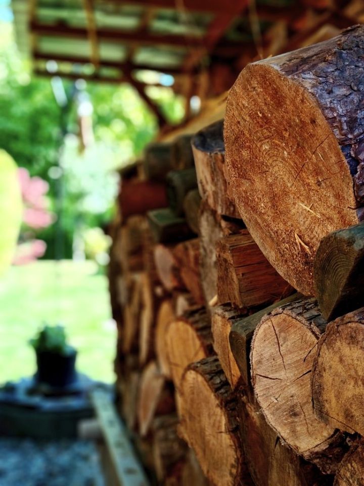 Działka rod Bogatynia. Zdjęcie 6