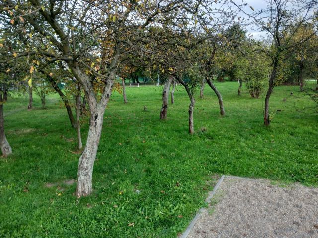 Działka rolna Tarnów. Zdjęcie 1