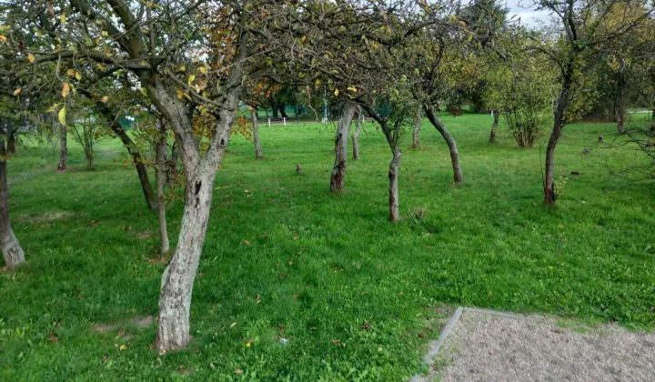 Działka rolna Tarnów