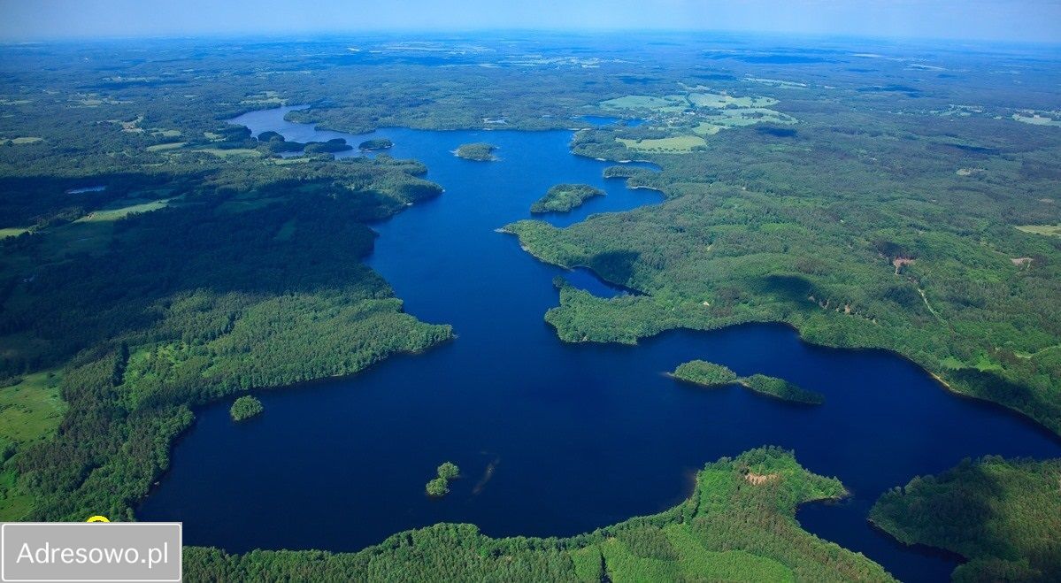 Działka Cybulin. Zdjęcie 5