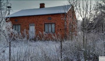 Działka siedliskowa Horostyta