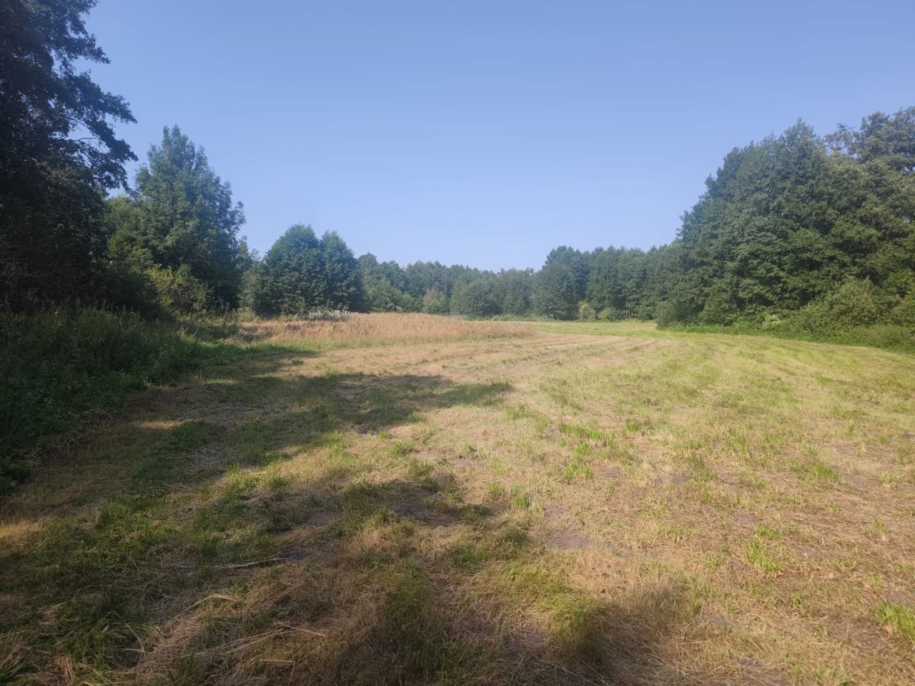 Działka rolno-budowlana Kopiec. Zdjęcie 3