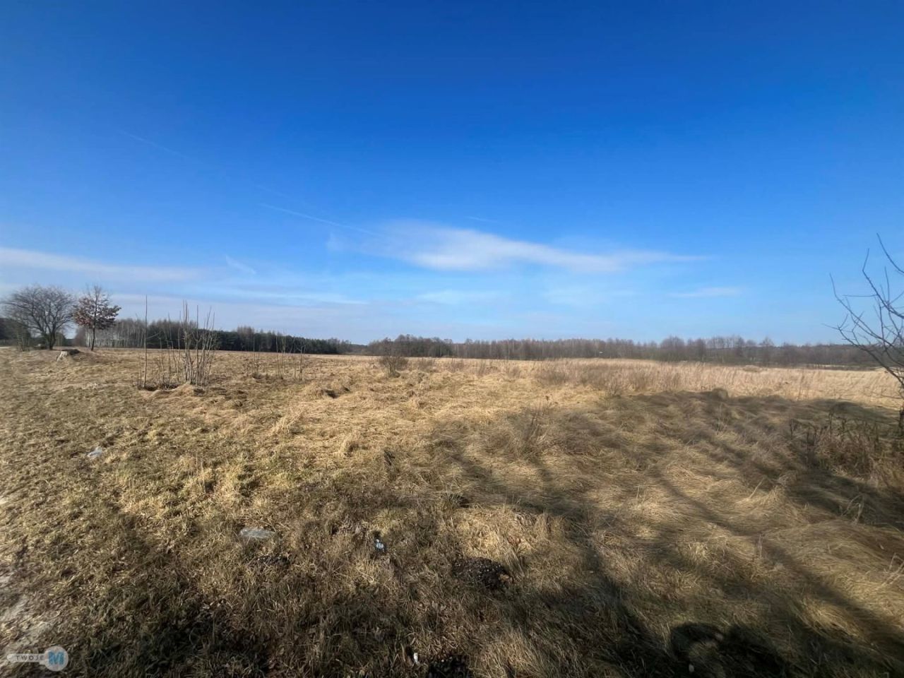 Działka rolna Śladków Duży. Zdjęcie 4