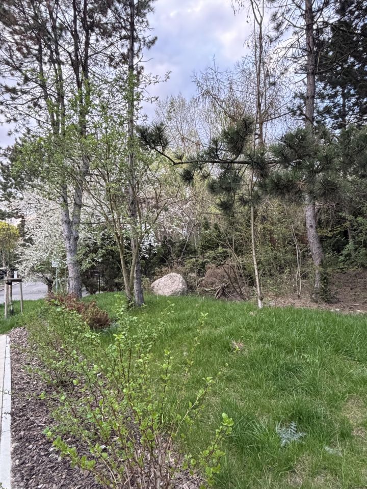 Mieszkanie 2-pokojowe Katowice Wełnowiec, ul. Ignacego Daszyńskiego. Zdjęcie 15