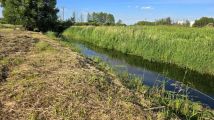 Działka rekreacyjna Iława, ul. Lipowy Dwór. Zdjęcie 2
