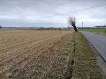 Działka rolno-budowlana Bierzgłowo. Zdjęcie 2