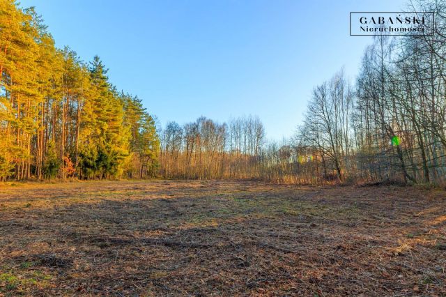 Działka budowlana Zaczarnie. Zdjęcie 13