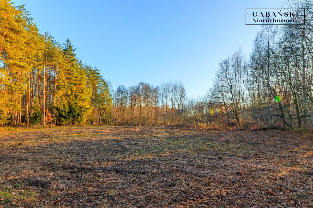 Działka budowlana Zaczarnie. Zdjęcie 13