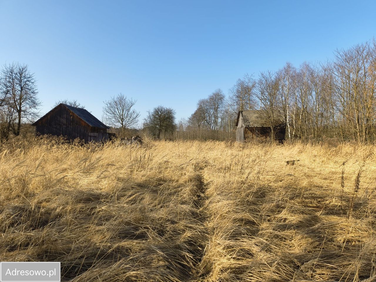 Działka budowlana Teodorów. Zdjęcie 1