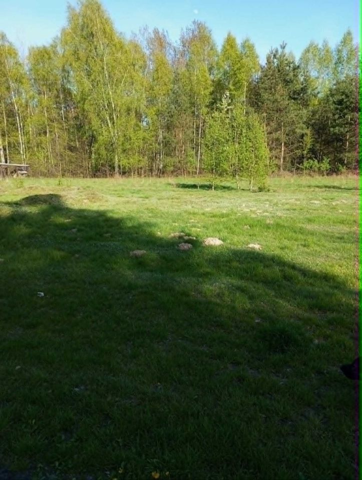 Działka rolno-budowlana Zimnice. Zdjęcie 3