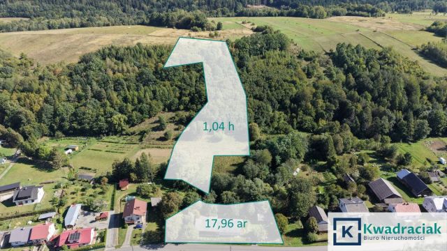 dom wolnostojący, 2 pokoje Krzywe. Zdjęcie 12