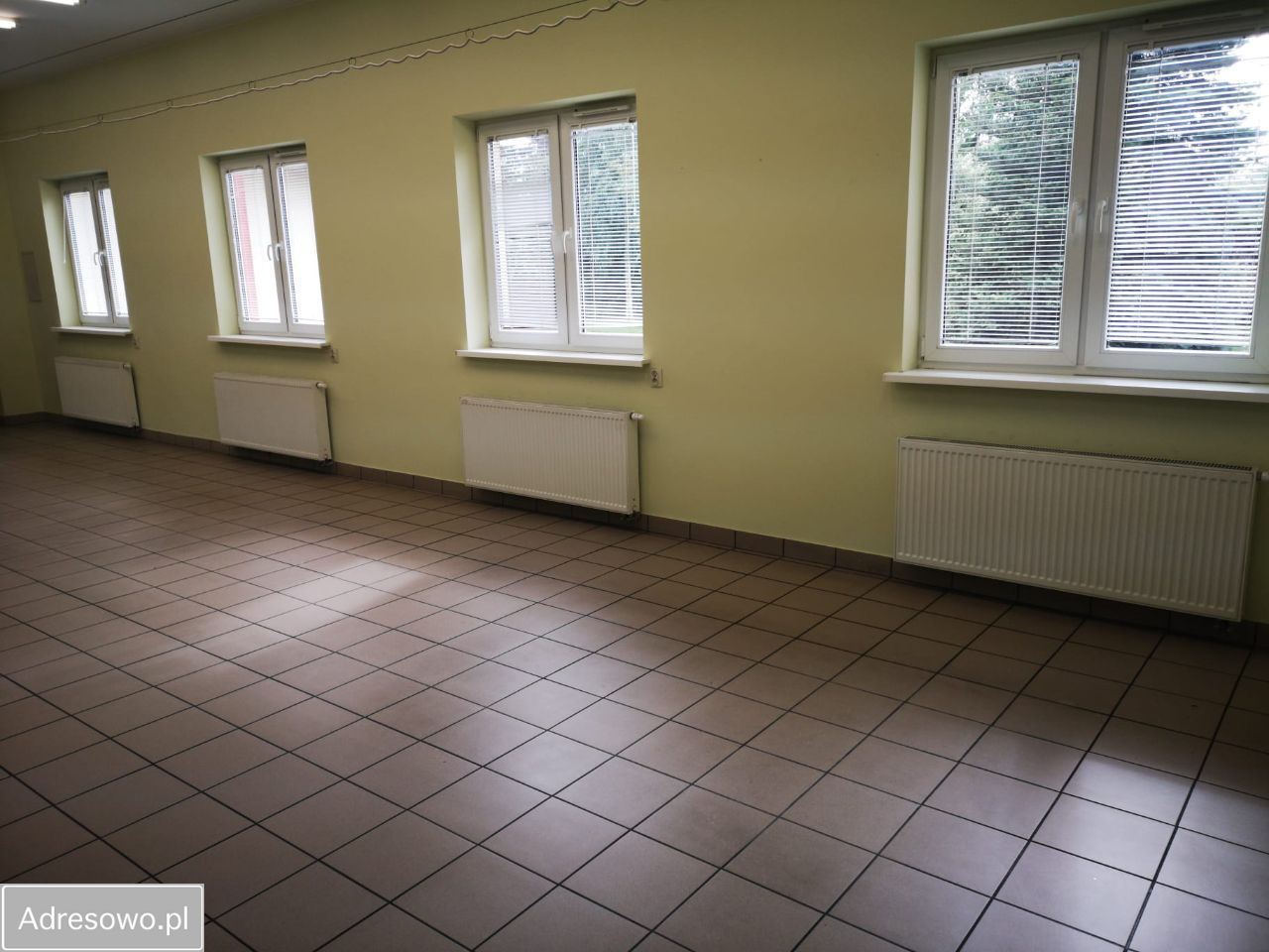 Hala/magazyn Pabianice Karniszewice, ul. Partyzancka. Zdjęcie 16