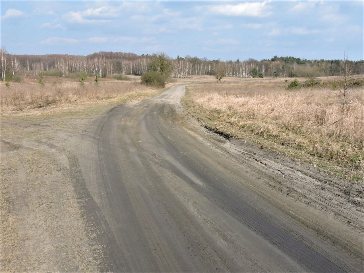 Działka rolno-budowlana Wiejca. Zdjęcie 8