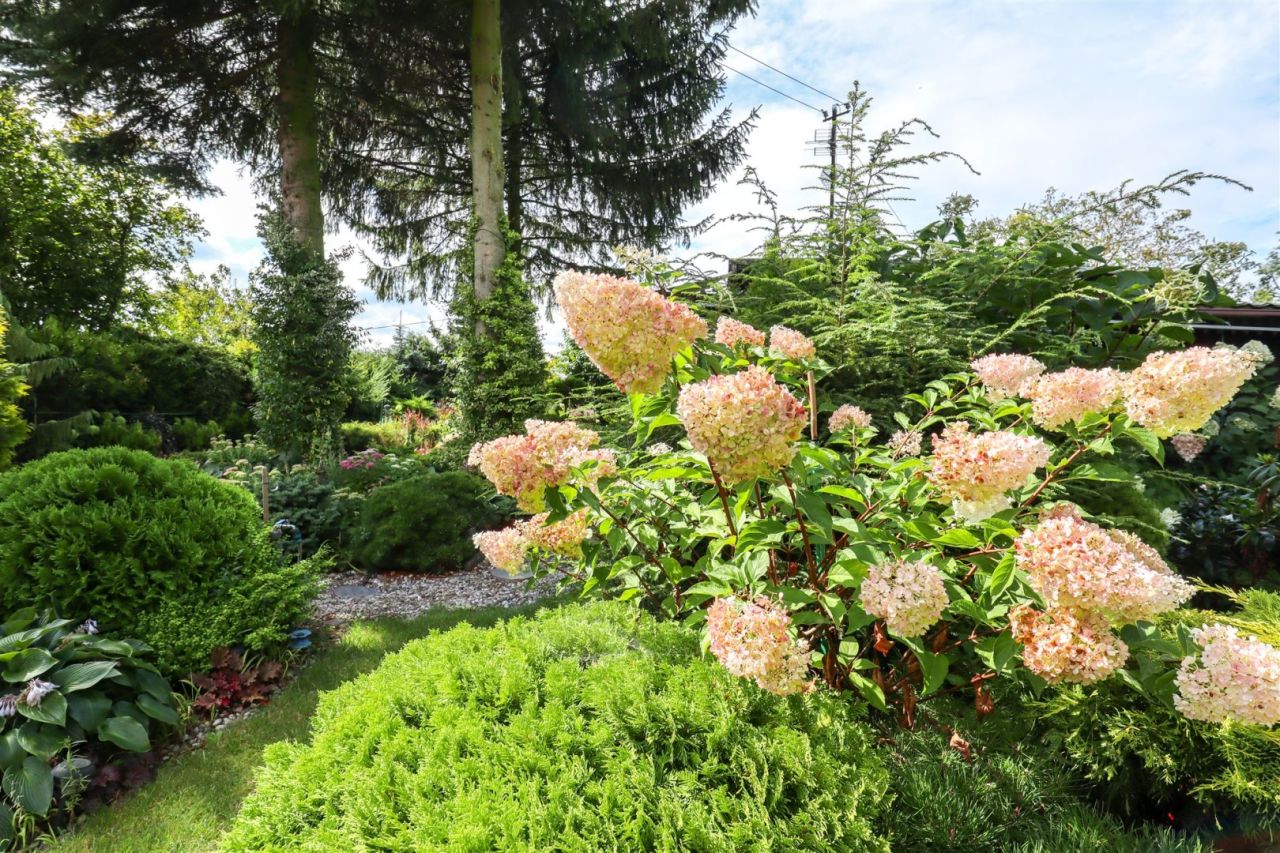 Działka rekreacyjna Nakło nad Notecią. Zdjęcie 4