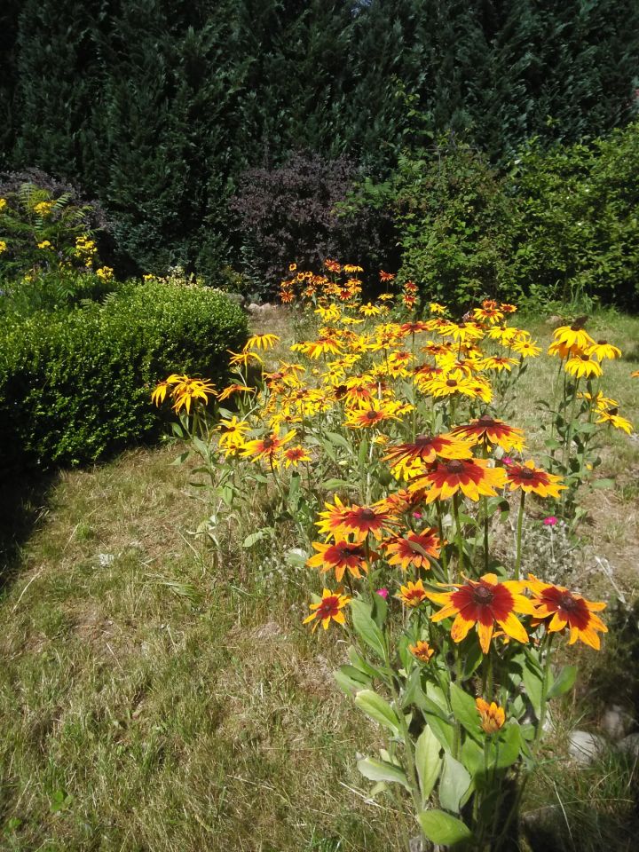 dom wolnostojący, 6 pokoi Skorzewo. Zdjęcie 24