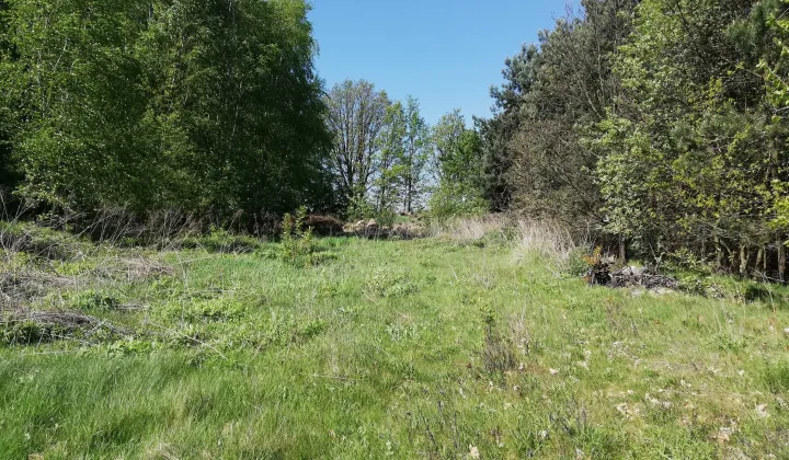 Działka rekreacyjna Polik