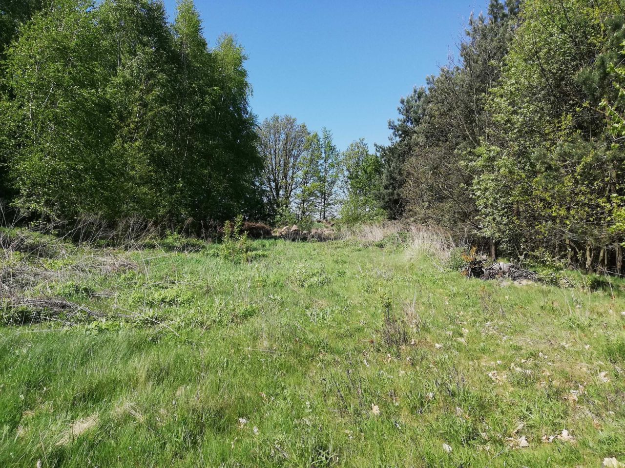 Działka rekreacyjna Polik. Zdjęcie 1