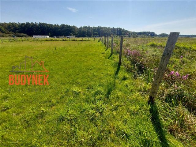 Działka rekreacyjna Dąbki, ul. Polna. Zdjęcie 10